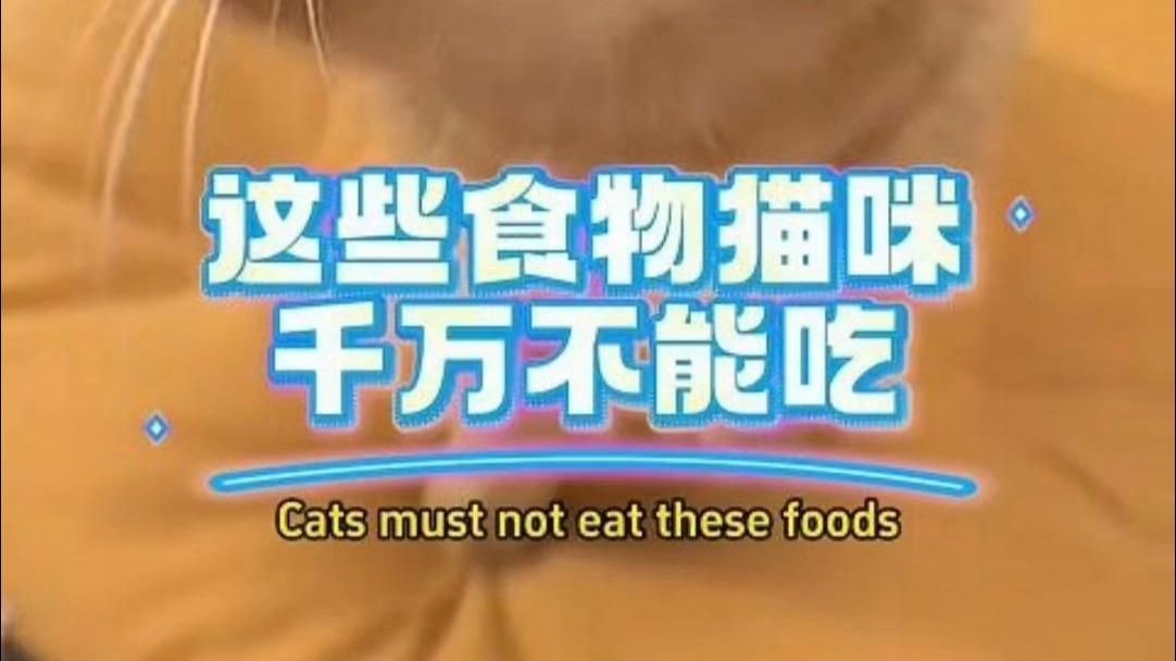 貓最不能吃的10種食物，《貓最不能吃的10種食物》貓咪不能吃的10種食物