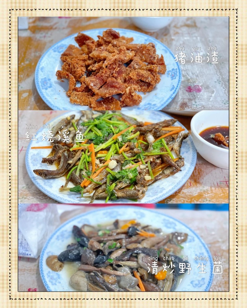 泰順龍魚店，杭州泰順龍魚店