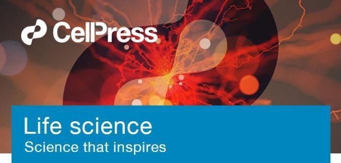 魚的細(xì)菌對人的影響嗎，《魚的細(xì)菌對人的影響嗎》探究魚身上攜帶的細(xì)菌是否對人類產(chǎn)生影響