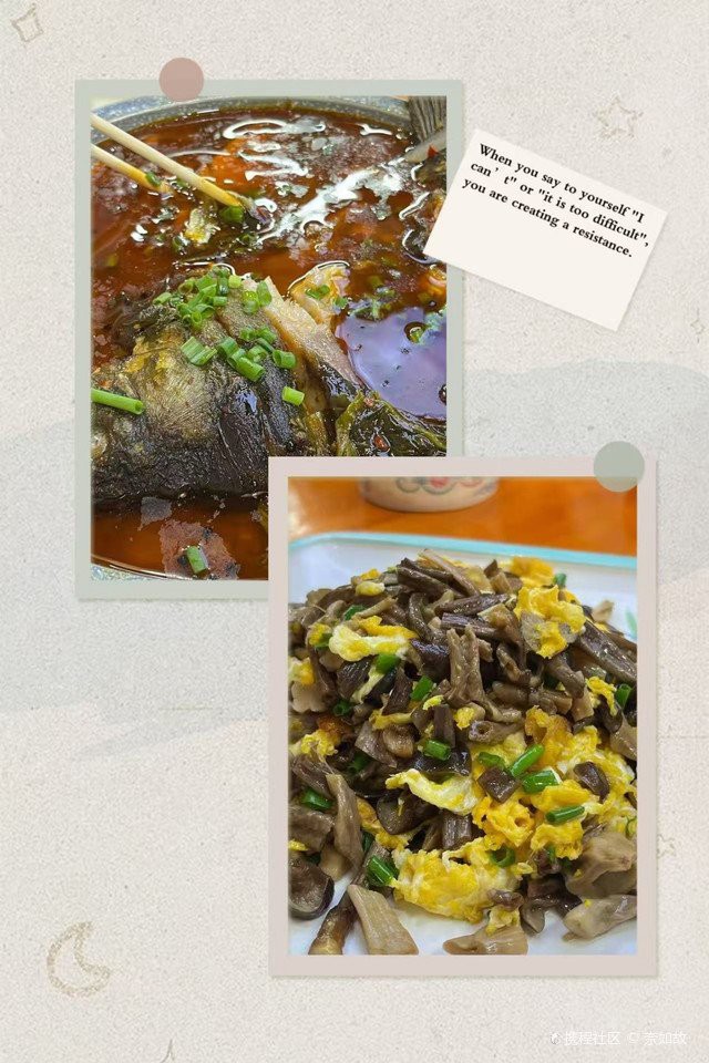 山南龍魚店，山南龍魚店哪家口碑最好