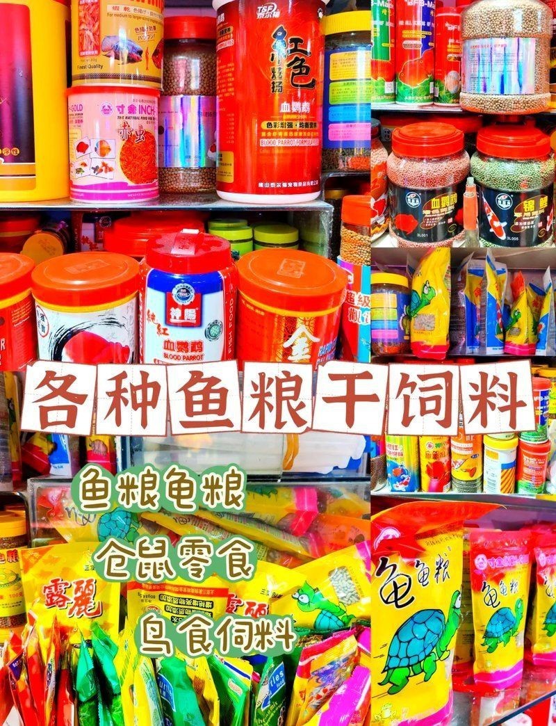 珠海水族店，珠海水族店分布廣泛且各具特色