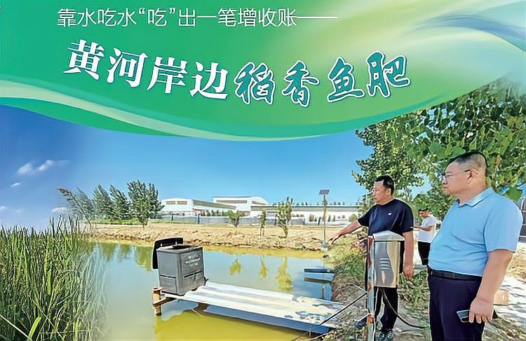 平陰龍魚店，山東平陰縣龍魚水族館愛企查平陰龍魚店有哪些評價