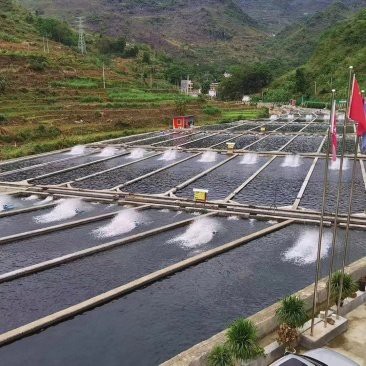 來(lái)安龍魚(yú)店，來(lái)安龍魚(yú)店哪家口碑最好