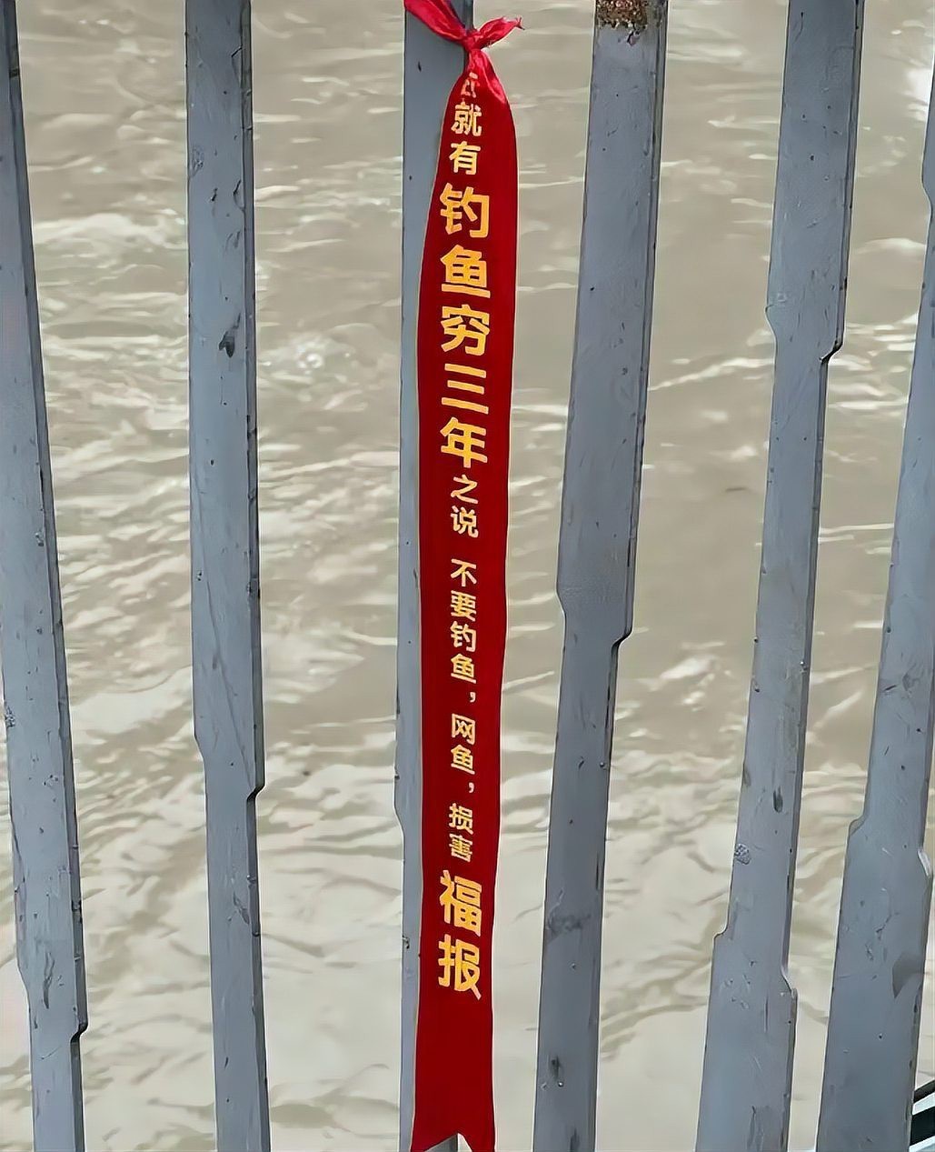 為什么放生泥鰍果報大，《為什么放生泥鰍鰍報大》放生泥鰍報大果報的行為