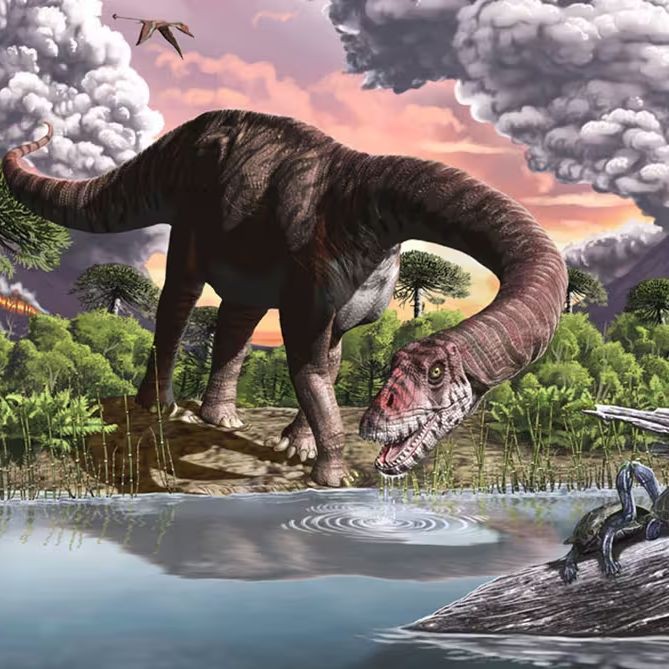 恐龍馬龍，馬龍是什么動物運動達人，野馬龍,塞爾馬龍