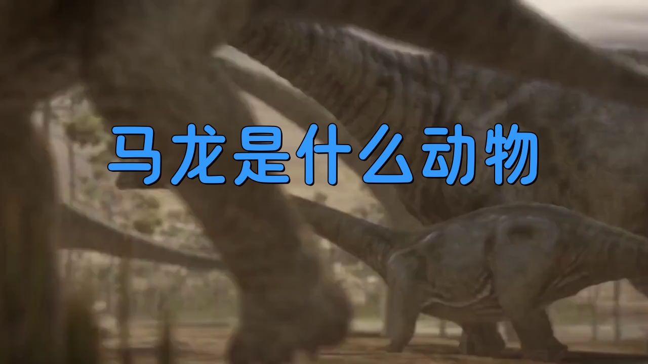 恐龍馬龍，馬龍是什么動物運動達人，野馬龍,塞爾馬龍