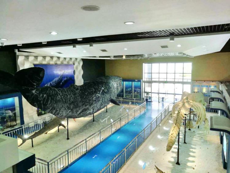 如東水族店，如東有哪些特色水族店？