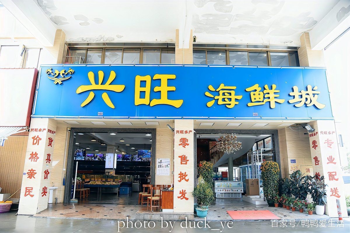 安多龍魚店，廈門安多龍魚店有哪些龍魚品種安多龍魚店的具體地址