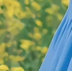 東莞水族批發市場，東莞市水族批發市場