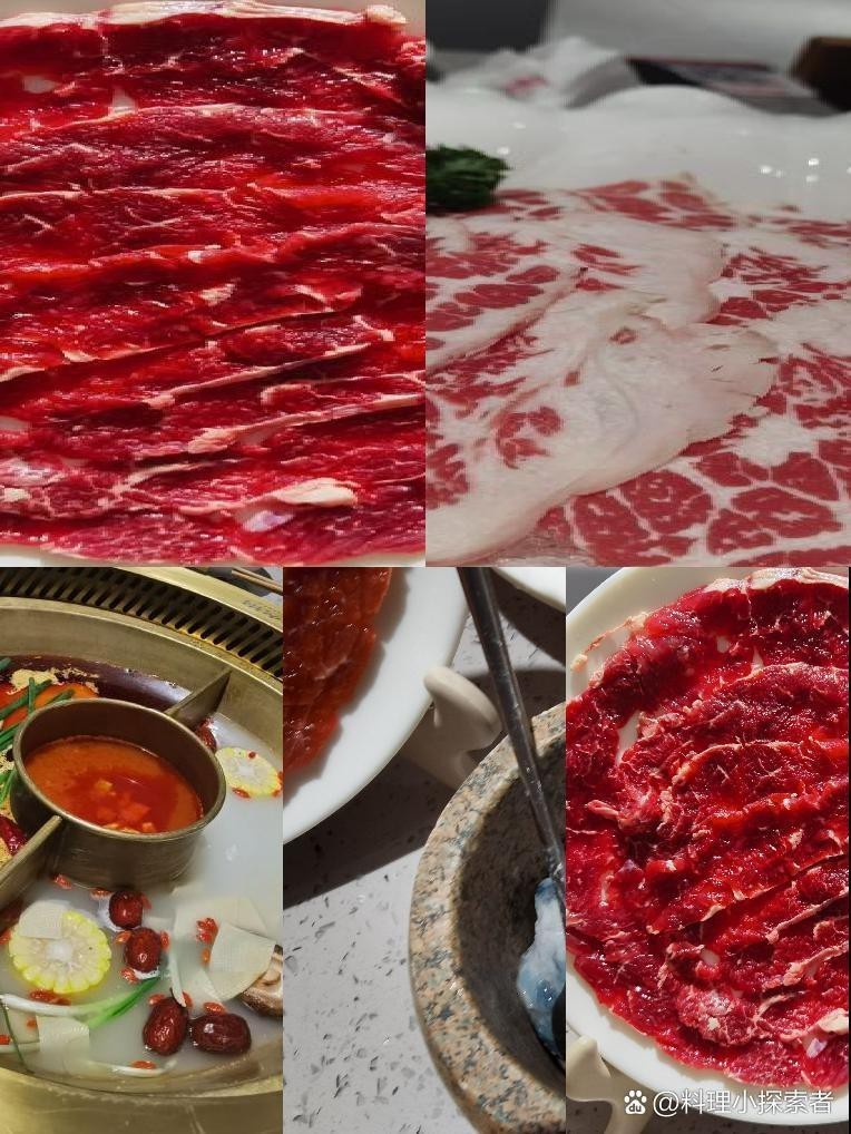 桐城龍魚店，桐城是否有龍魚店