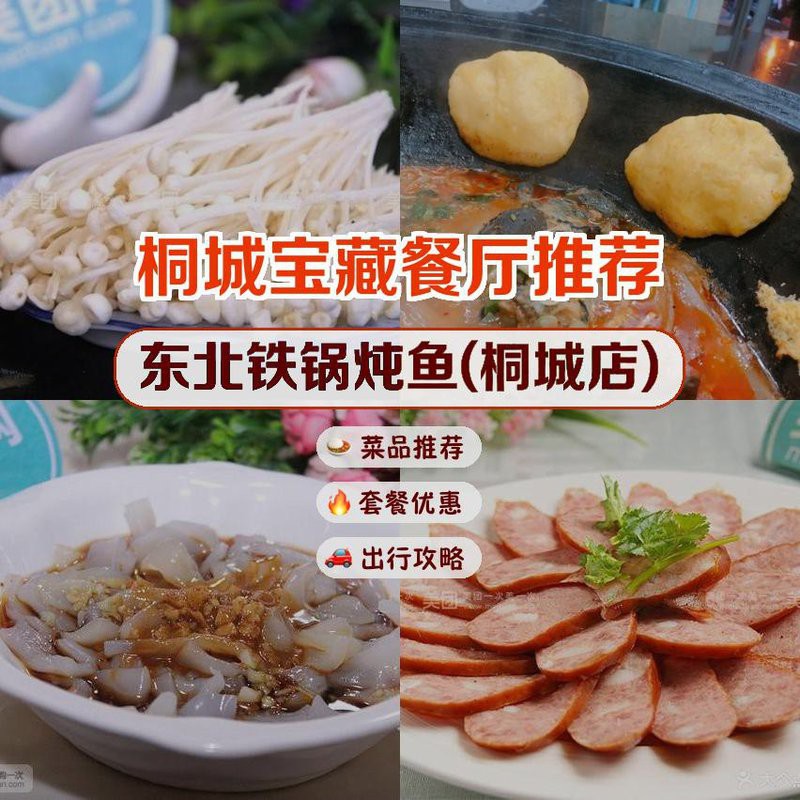 桐城龍魚店，桐城是否有龍魚店