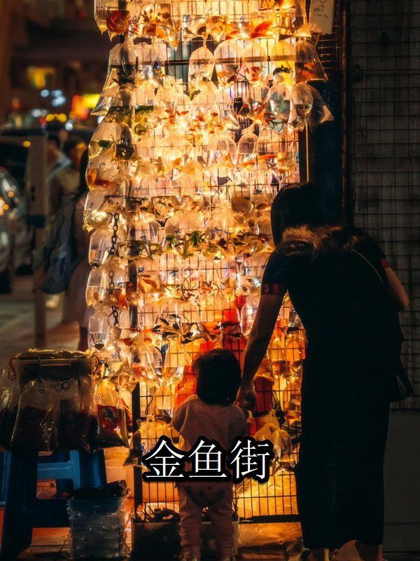 香港龍魚店，香港龍魚產(chǎn)業(yè)的獨(dú)特魅力