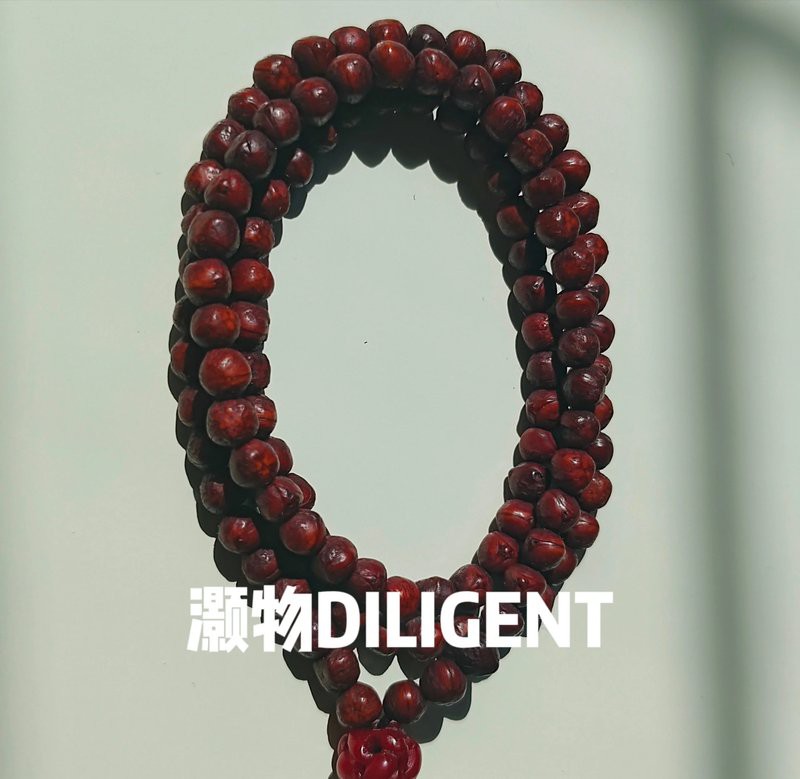 0.6的龍眼菩提如何盤玩？，0.6的龍眼菩提如何盤玩