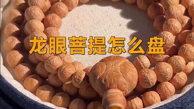 0.6的龍眼菩提如何盤玩？，0.6的龍眼菩提如何盤玩