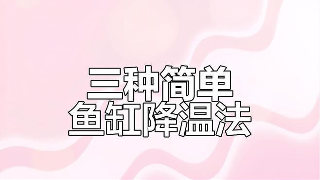 如何逐步將銀龍魚的水溫降至28度？，夏季如何給銀龍魚水溫控制在多少度
