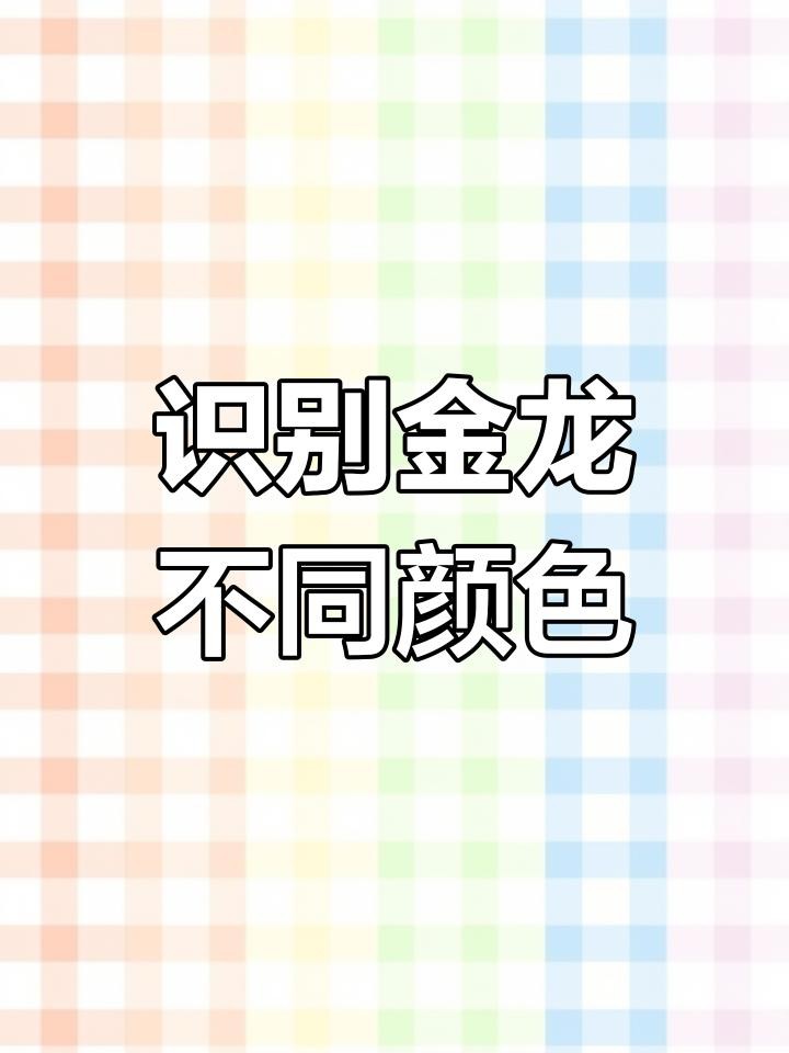 如何區(qū)分藍底和金底金龍魚，藍底和金底金龍魚的區(qū)別