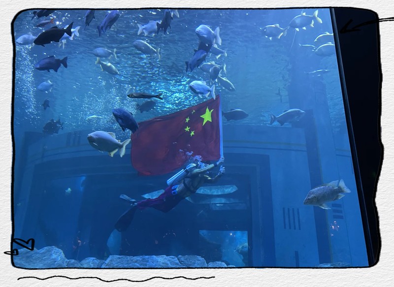 南昌水族店，南昌有哪些大型水族館