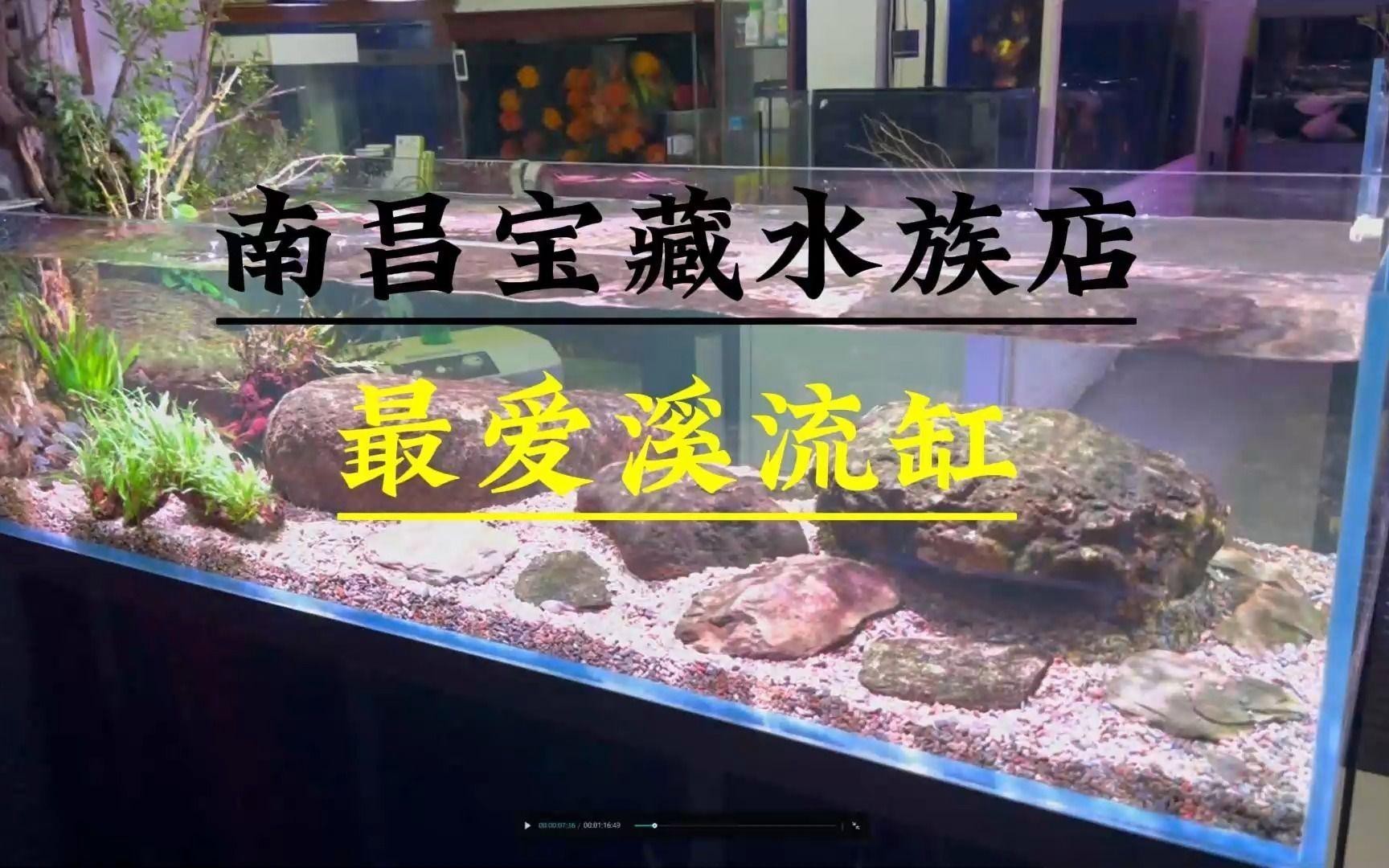 南昌水族店，南昌有哪些大型水族館