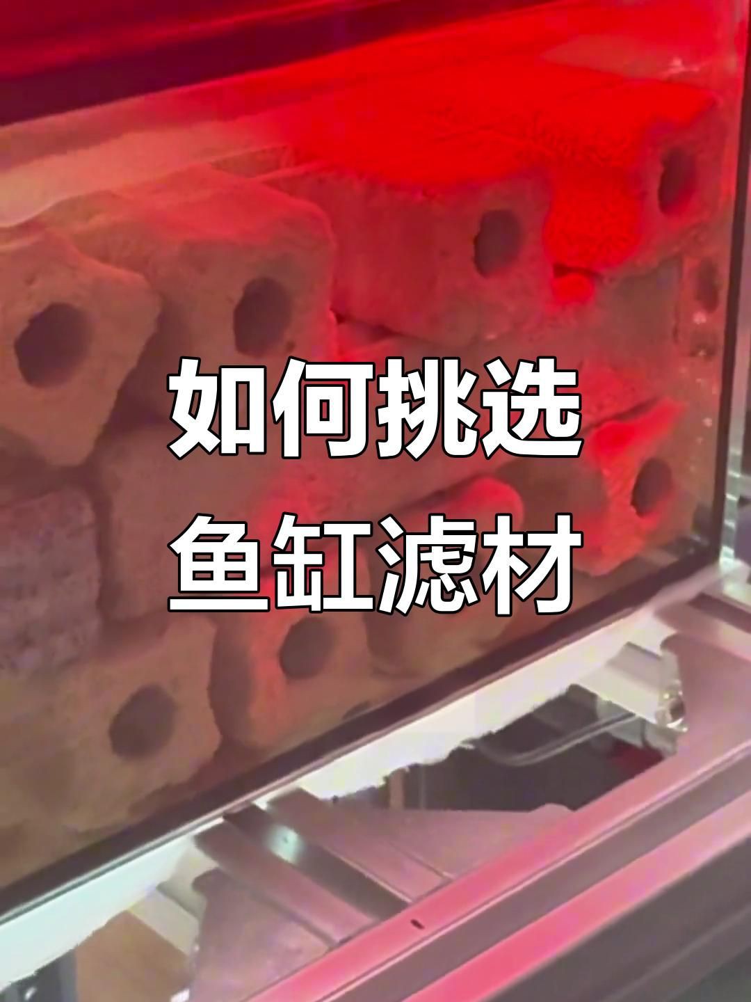 濾材買啥樣的比較好，《濾材買啥樣的比較好》 濾材買啥樣的比較好，《濾材買啥樣的比較好》 龍魚百科 第4張