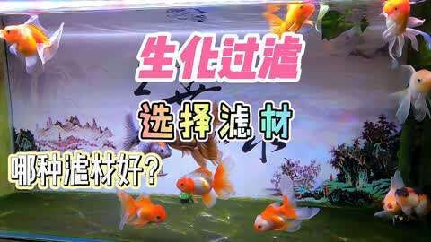 濾材買啥樣的比較好，《濾材買啥樣的比較好》