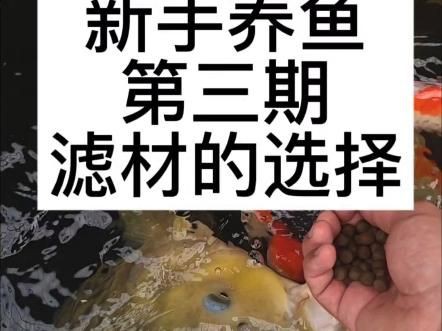 濾材買啥樣的比較好，《濾材買啥樣的比較好》