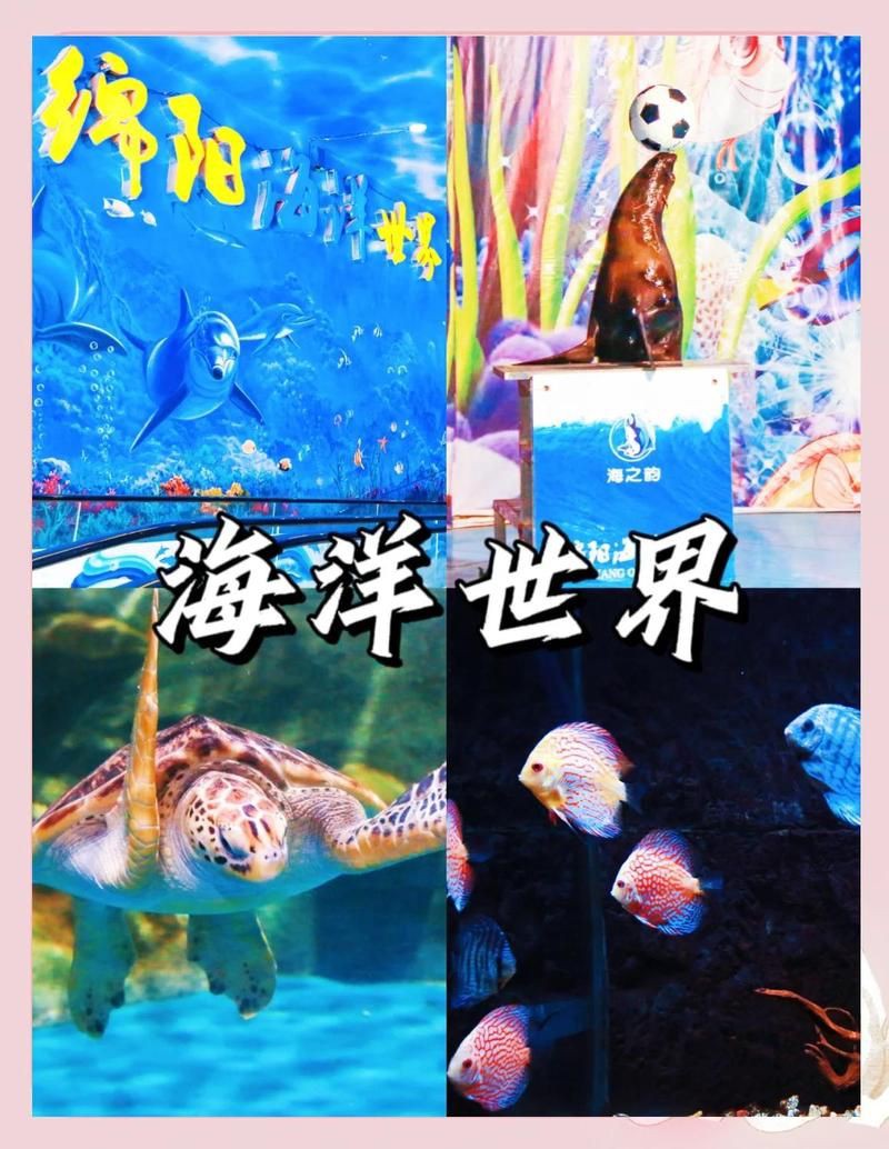 綿陽水族館，綿陽海底世界——綿陽水族館