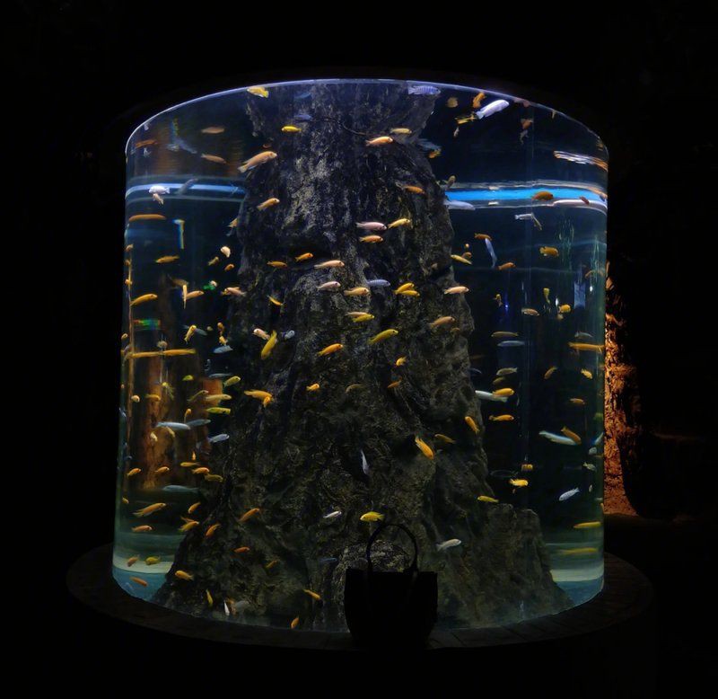 綿陽水族館，綿陽海底世界——綿陽水族館