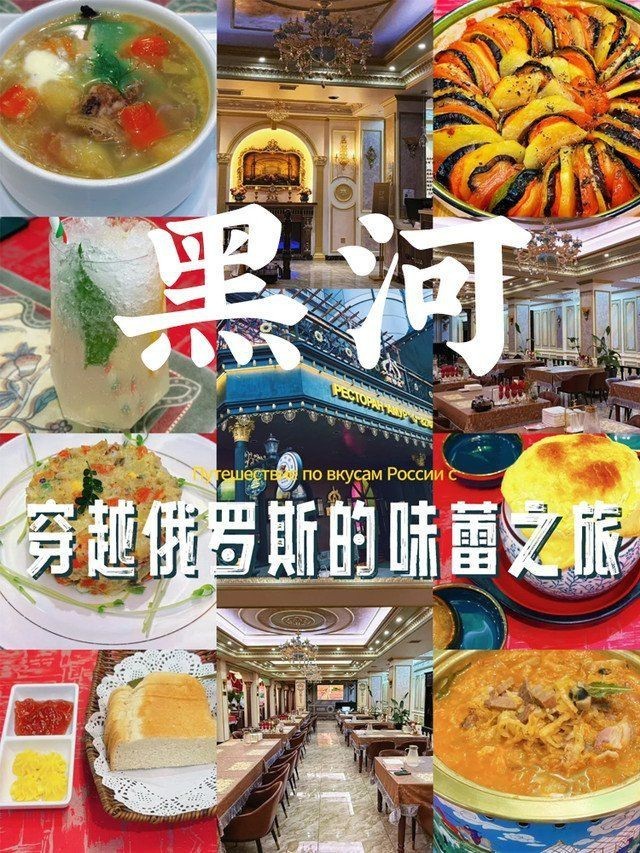 黑河龍魚店，“黑河龍魚店”開個龍魚店需要多少錢創(chuàng)業(yè)機(jī)遇等你來抓 黑河龍魚店，“黑河龍魚店”開個龍魚店需要多少錢創(chuàng)業(yè)機(jī)遇等你來抓 全國水族館企業(yè)名錄 第16張