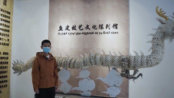 黑河龍魚店，“黑河龍魚店”開個龍魚店需要多少錢創(chuàng)業(yè)機(jī)遇等你來抓 黑河龍魚店，“黑河龍魚店”開個龍魚店需要多少錢創(chuàng)業(yè)機(jī)遇等你來抓 全國水族館企業(yè)名錄 第6張
