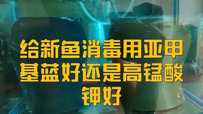 有哪些適合家庭魚缸的消毒劑，家庭養(yǎng)魚殺菌用什么藥
