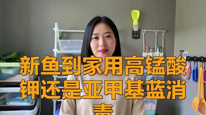 有哪些適合家庭魚缸的消毒劑，家庭養(yǎng)魚殺菌用什么藥