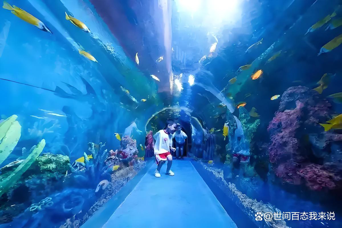 桂林水族店，桂林有哪些水族館？