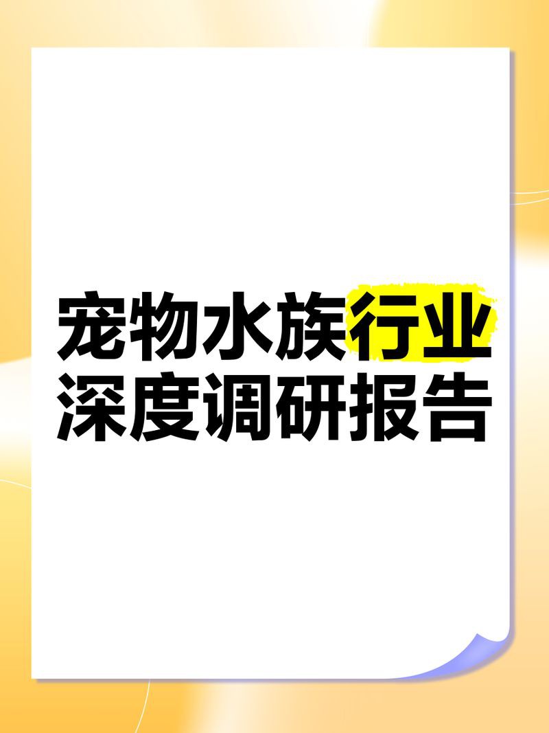 鄂爾多斯水族批發市場，鄂爾多斯三大農貿市場大揭秘tossy的笑笑大魔王