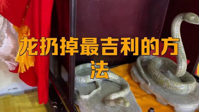 丟棄龍擺件時如何避免環境污染？，丟棄龍擺件如何避免環境污染