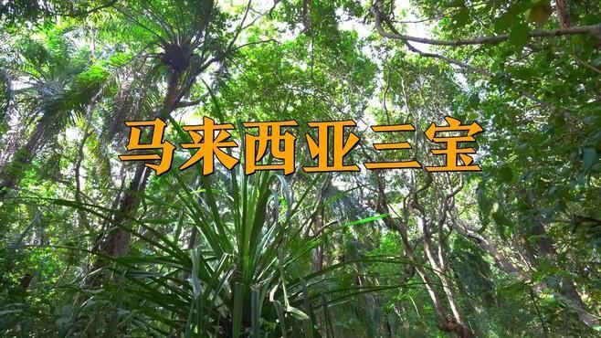 馬來西亞特產(chǎn)三寶，探秘馬來西亞解鎖特產(chǎn)三寶,珠寶珍寶無價寶