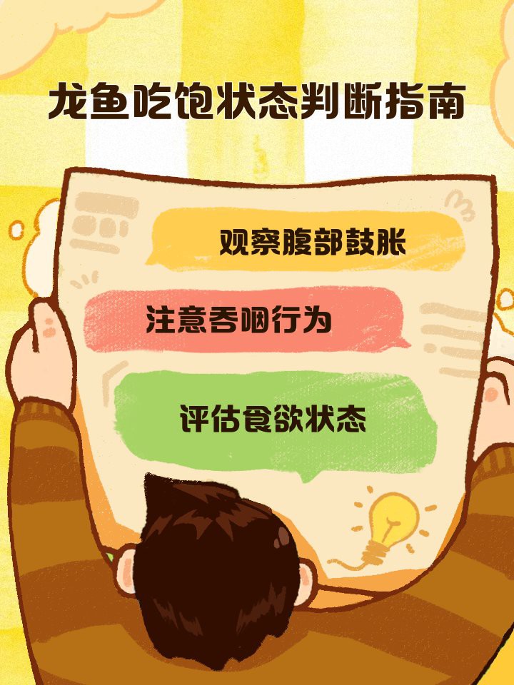 如何判斷過背金龍是否吃飽？，《如何判斷過背金龍是否吃飽》如何判斷魚是否吃飽老手教你幾招