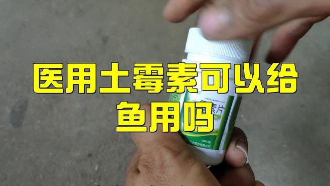 土霉素治療龍魚疾病的效果如何？，土霉素在治療龍魚疾病方面展現出顯著效果