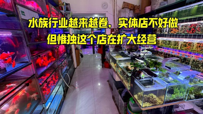 沁縣水族店，沁縣擁有多家特色水族店為當地居民及愛好者提供了豐富的選擇
