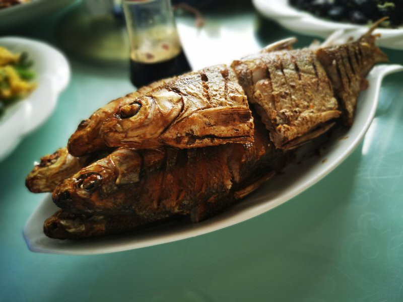 察右后旗龍魚店，內蒙古察右后旗龍魚店打卡攜程旅行聚龍灣龍魚店