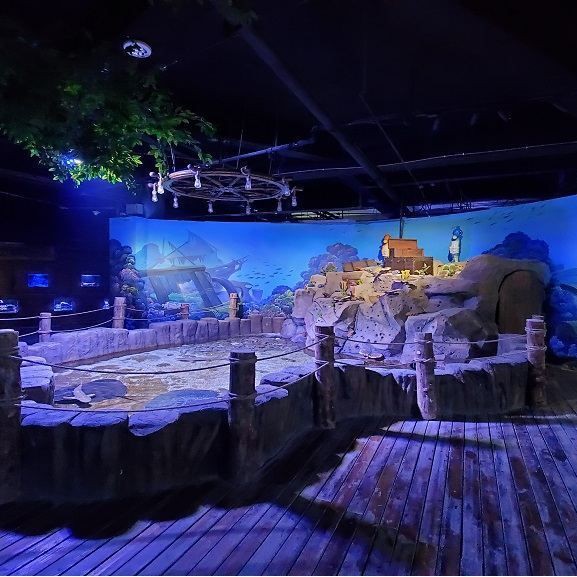 陽泉水族館，廣州陽泉海洋世界：陽泉海洋世界松緊繃的奇幻之旅