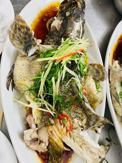 各種斑魚的圖片，攝圖新視界則提供青石斑魚、黑斑魚等具有版權保障的高清斑魚圖片