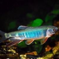 淮安魚缸定做，淮安大型魚缸定做