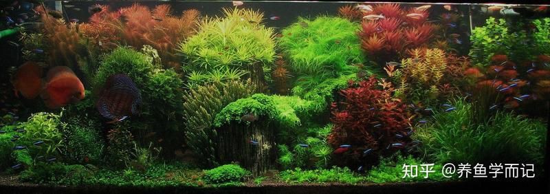 淮安魚缸定做，淮安大型魚缸定做