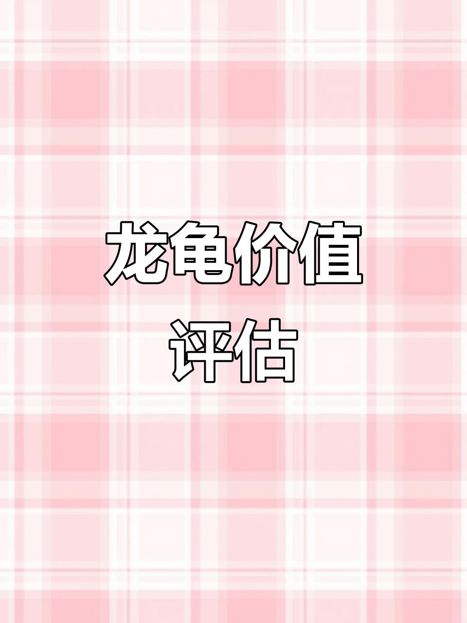 不同材質龍龜的價格差異大嗎？，不同材質的龍龜價格差異顯著，