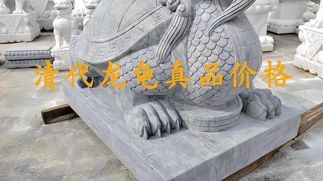 不同材質龍龜的價格差異大嗎？，不同材質的龍龜價格差異顯著，