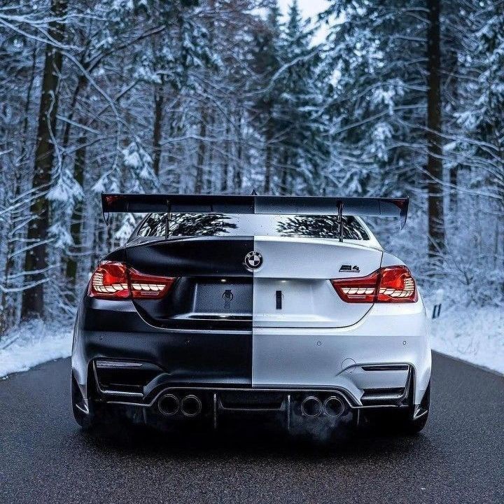 紅寶石魚是海魚還是淡水魚，紅寶石魚的分類與生態特性研究紅寶石魚的分類與生態特性