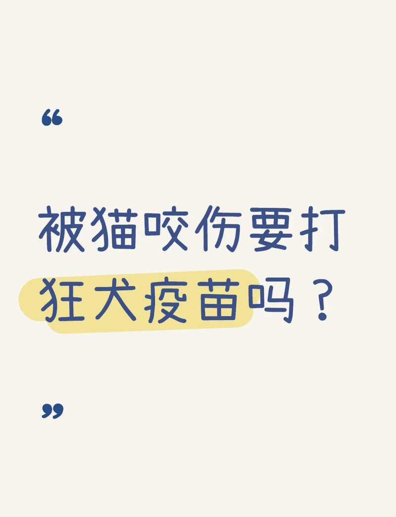 如何判斷龍貓咬傷是否嚴重？，如何判斷龍貓咬傷是否嚴重