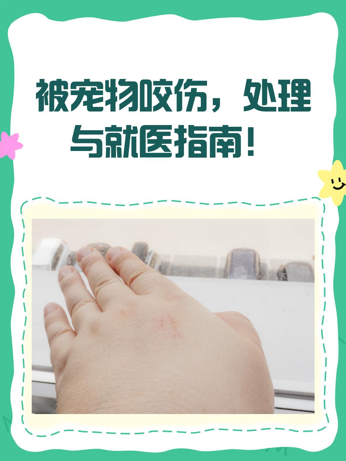 如何判斷龍貓咬傷是否嚴重？，如何判斷龍貓咬傷是否嚴重