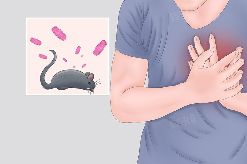 如何判斷龍貓是否感染細菌？，判斷龍貓是否感染細菌需綜合觀察其外在癥狀與生活環境與生活環境