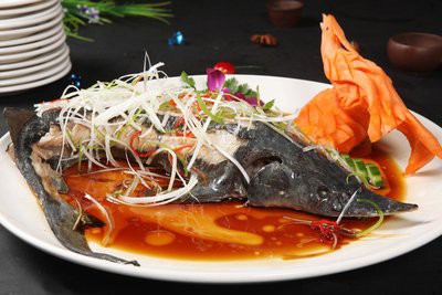 梨樹龍魚店，梨樹龍魚店的營業時間是如何預約梨樹龍魚店的鱘龍魚 梨樹龍魚店，梨樹龍魚店的營業時間是如何預約梨樹龍魚店的鱘龍魚 全國水族館企業名錄 第1張